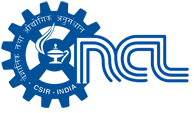 NCL Pune Recruitment 2023