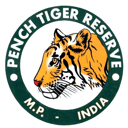 Pench Tiger Reserve Recruitment 2023